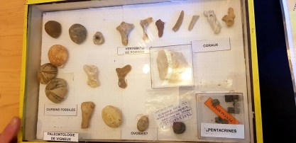 41702471_720111251668163_5567634524633825280_o (1).jpg