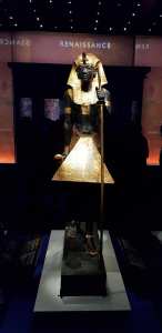 56575842_839924886353465_190759318889431040_o